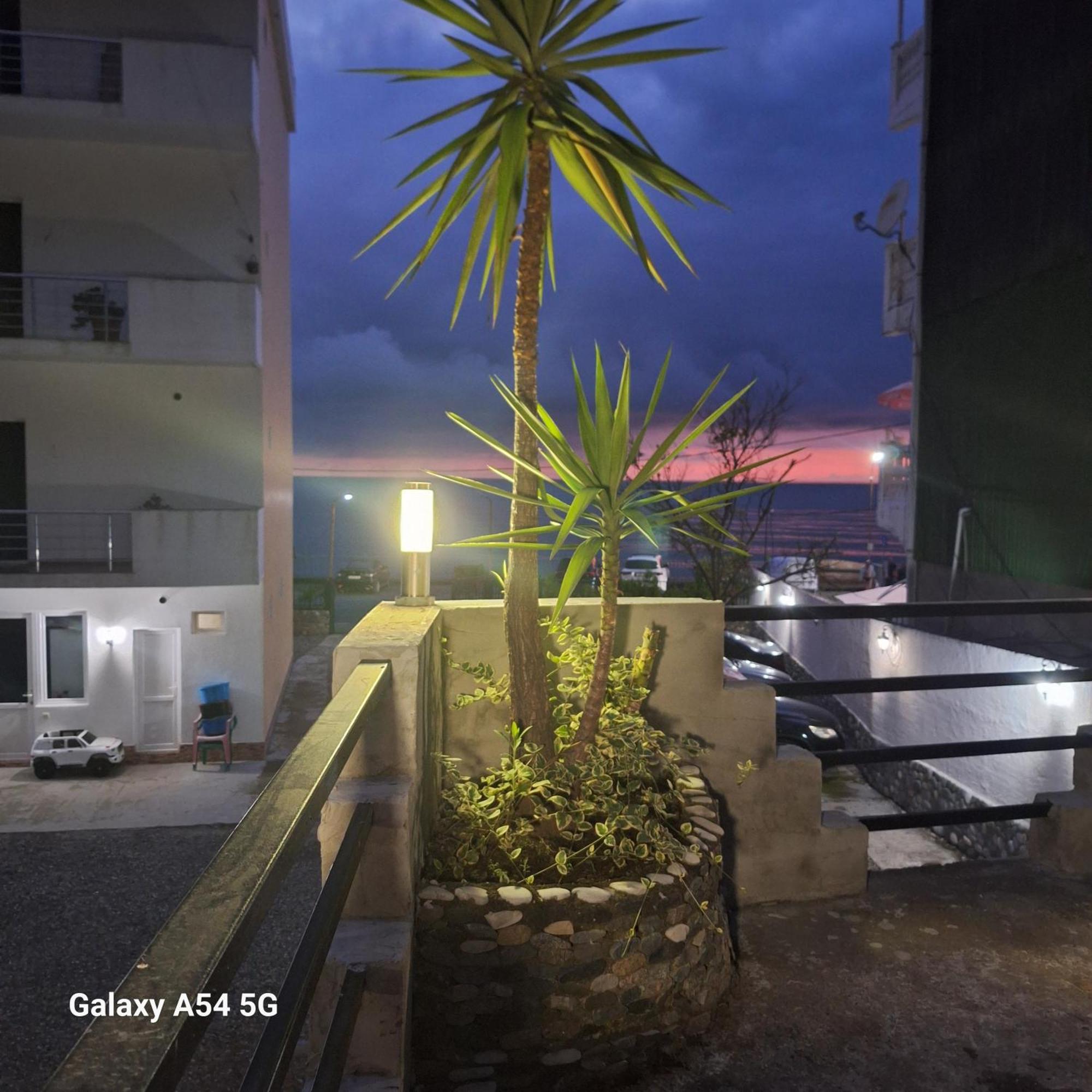 David Guest House ซาร์พี ภายนอก รูปภาพ