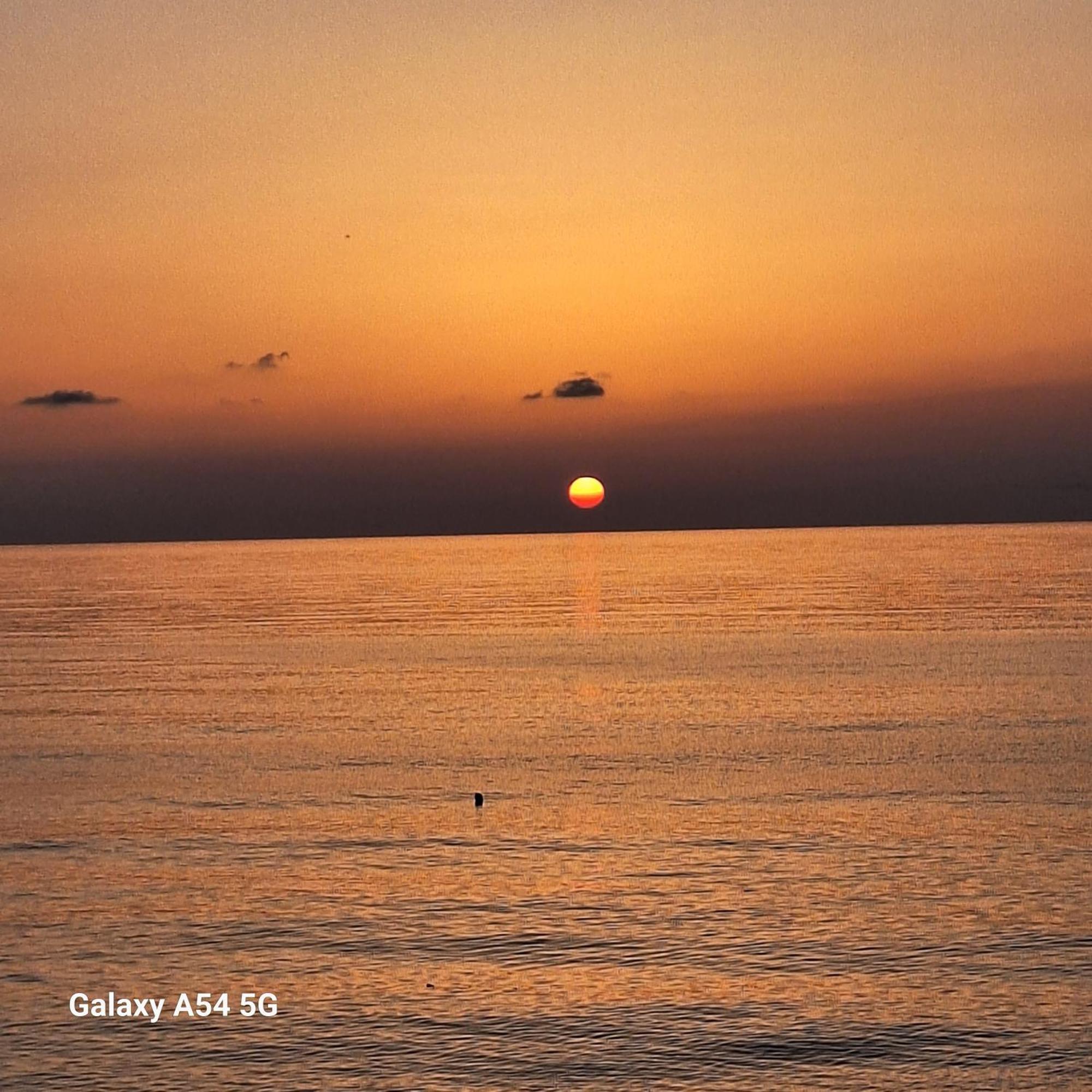 David Guest House ซาร์พี ภายนอก รูปภาพ