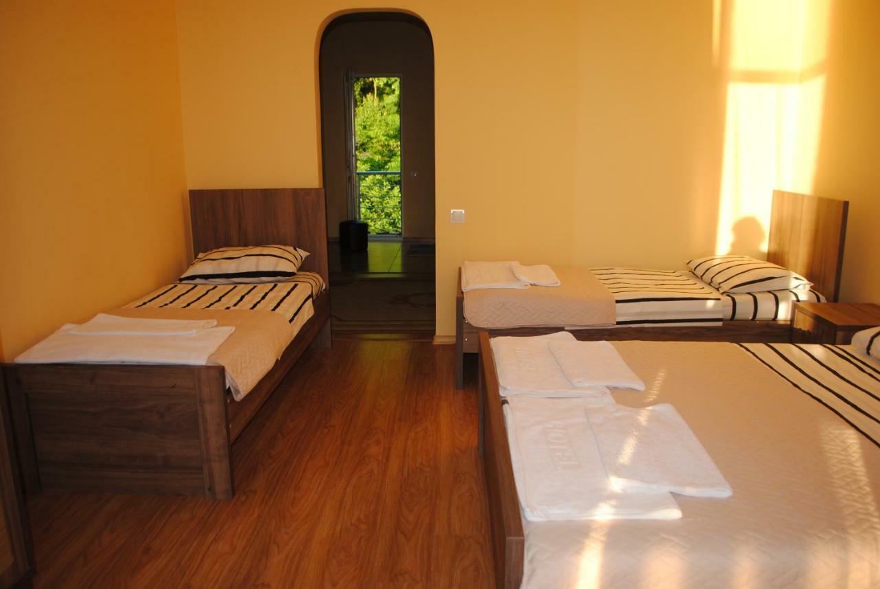 David Guest House ซาร์พี ภายนอก รูปภาพ